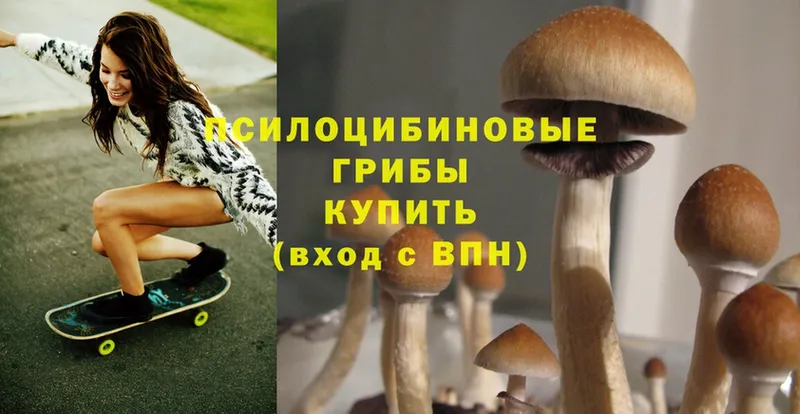 Галлюциногенные грибы Cubensis  где продают наркотики  ссылка на мегу сайт  Ивдель 